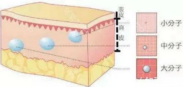 手术 玻尿酸隆鼻可以维持多久?1年?术前准备+术后护理要知道的事!