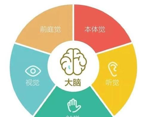 宝宝跳过爬直接学会走，影响认知发展和平衡力，父母如何科学干预