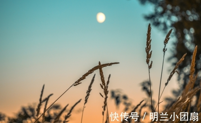 运命论|做人,可以精明,但不能“过头”