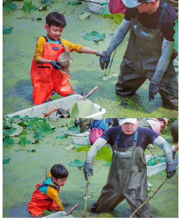 smg|上海主持百克力帶兒子下田挖藕！倆人滿臉淤泥依舊笑意滿滿