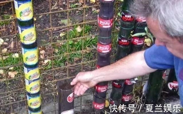 捡回7个塑料瓶,养成空中菜园,变废为宝,吃上绿色蔬菜