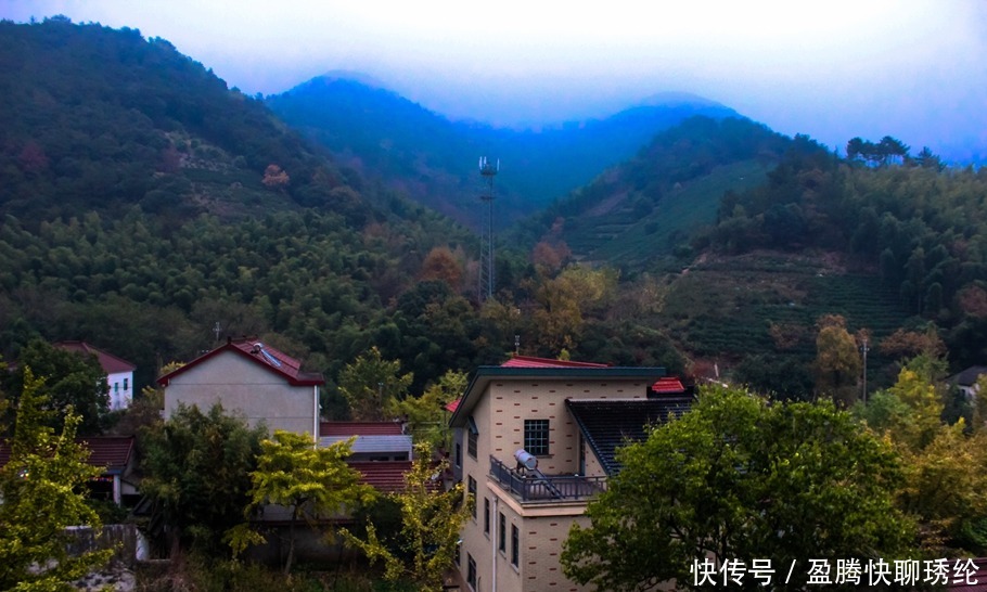 柿子|长兴有一个美丽的小山村，它的名字叫石岕口，仿佛静谧的山水画般