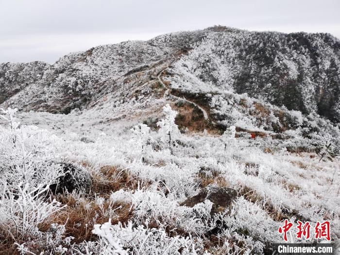 福安|福建宁德世界地质公园现雾凇冰挂 银装素裹引游人