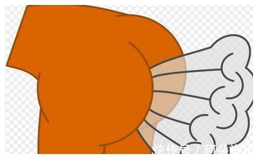 家人|女子每天放屁超过30多次，家人强行送进医院，医生：再拖就晚了