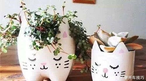 大妈养花一分钱没花,花和花盆都是“捡的”,真是让人想不到!