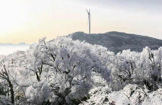白雪|广西：桂北地区上演“冰雪奇缘”