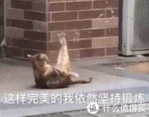 ios|别只知道Keep了!这11款健身APP,助你一个月瘦10斤不是梦!