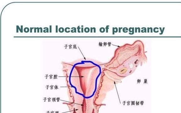 宝宝|怀孕8个月，老婆就生下了宝宝，丈夫：这是亲生的？