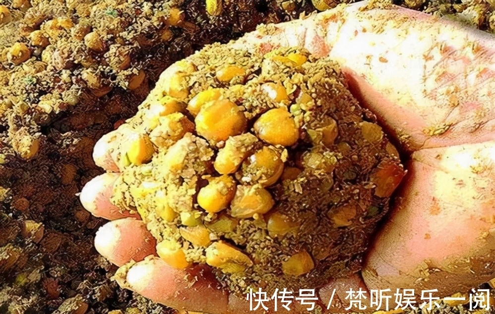 野生鲤鱼的最爱,不是玉米粒,也不是麦粒,而是这三种饵料