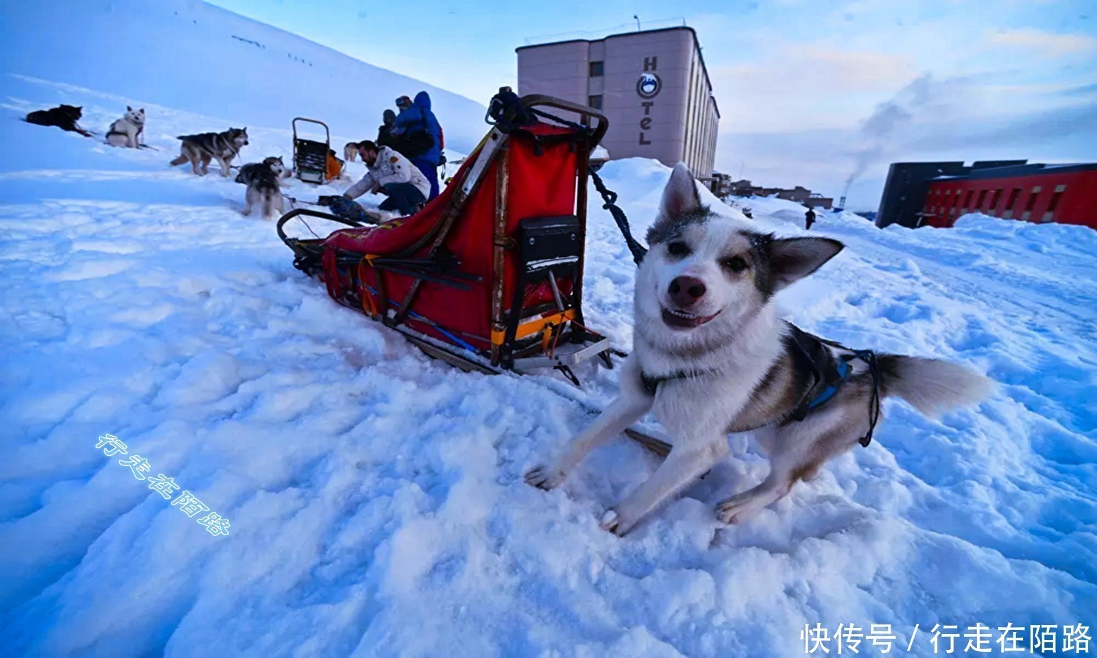 醒醒好吗斯瓦尔巴群岛不是中国飞地，更没有规定禁生禁死