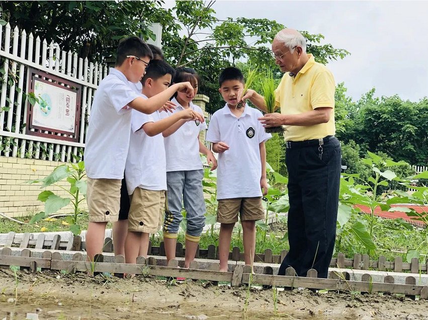 袁隆平|乾元小学打造劳育赋能“双减”新样态