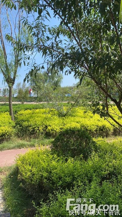 元氏|新鲜出炉!帮你搜集石家庄元氏楼盘现场的最新美图