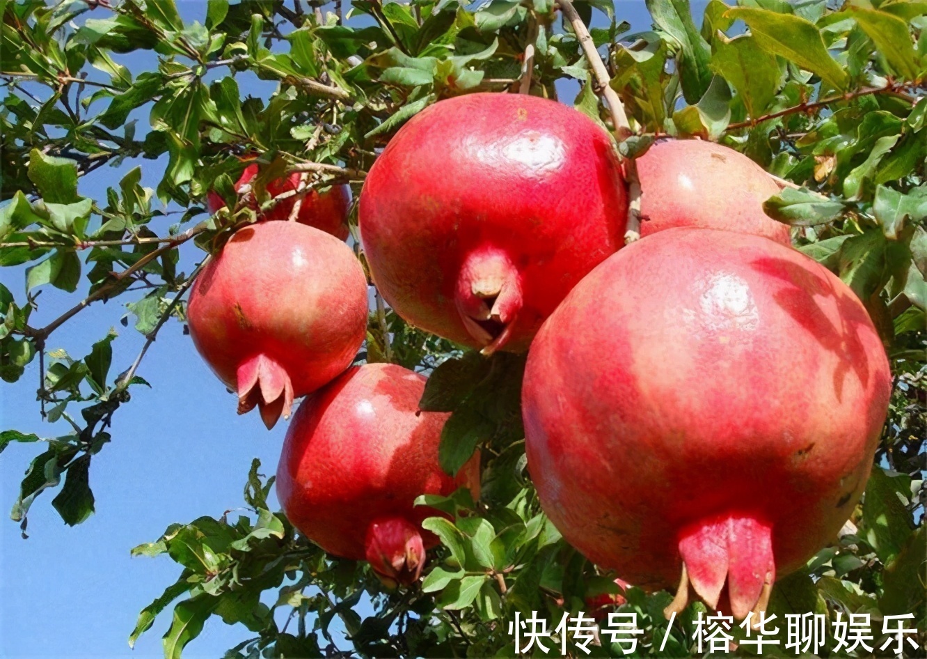 瘦身|女性担心老太快,多吃3种食物,清理肠胃,排毒瘦身,肌肤更细腻