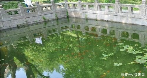 埃及金字塔|世上最烧脑的高智商题,从来没人全答对过,全答对智商高到无法想象