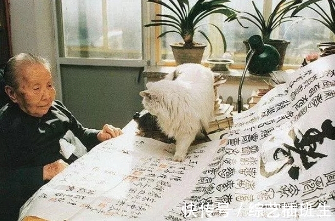 钱钟书!被鲁迅瞧不起,被林徽因怼,为何同时期的文人,都讨厌冰心?