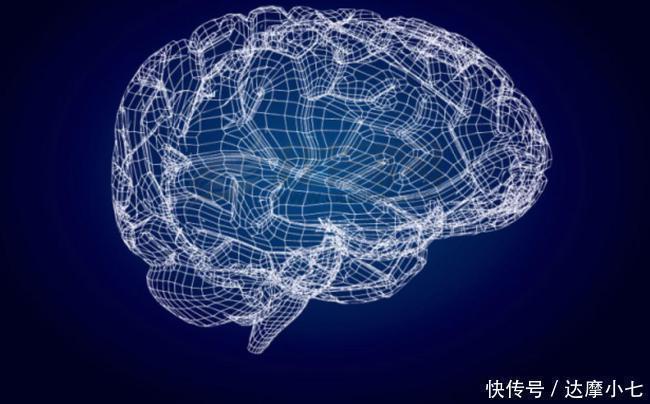 老人|美国老年痴呆最新测试很多老人已经无法找到图中的小动物