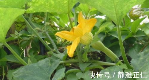 中年人|中年人想要长寿,不妨坚持吃3种食物,补充营养、滋润身体!