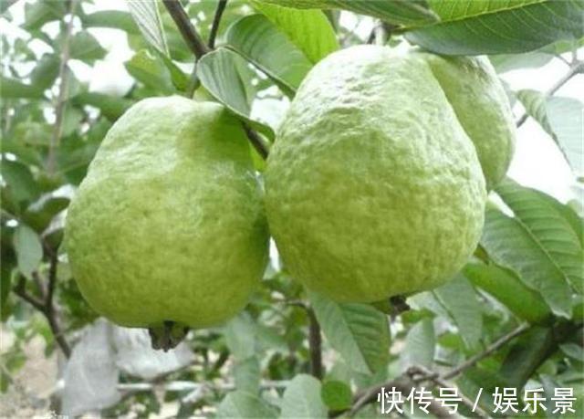 美白|漂亮女人的福音,常吃以下食物,补充肌肤水分,促进排毒美容嫩白