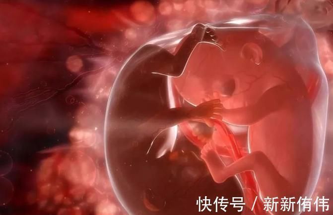 子宫|孕检B超四维时胎儿害羞不动,孕妈别着急,8个技巧让孩子活跃配合你