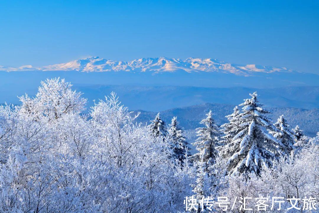 哈尔滨|这才是跟冬天最配的自驾线，沿途雪景美成童话，错过再等一年