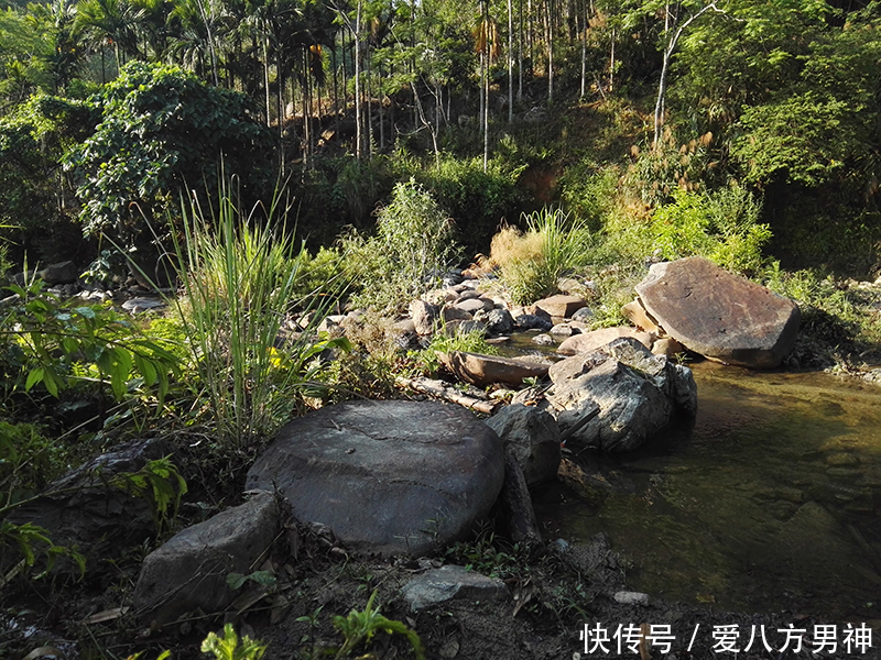 女性|爱八方女神：女性排毒不能碰的三种食物