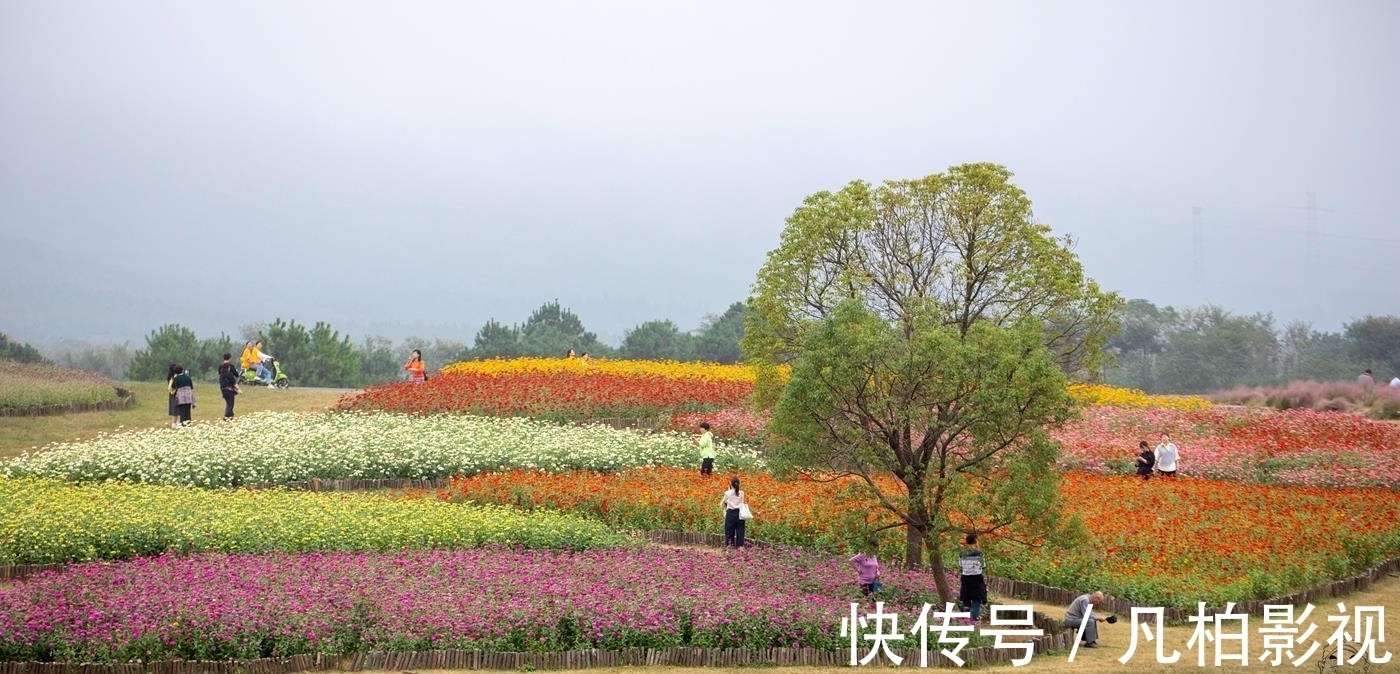 东洼|冬瓜村 一个秋天里五彩斑斓的童话