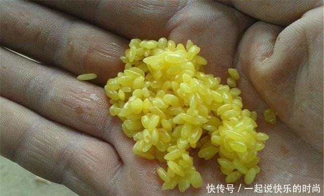 配方|秋冬想钓大鲫鱼,没有给力的窝料怎么行,这个配方有奇效,别错过