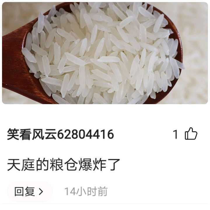 环天顶弧|天上粮仓漏了？河南多地下起了“长粒香型”大雪，不是雪花是雪棍