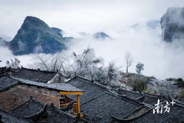 冰雪|银装素裹！第一视角带你“穿越”广东冰雪奇景