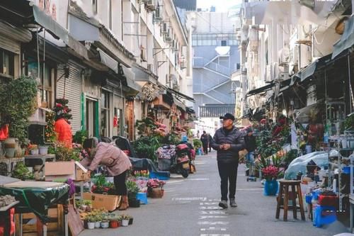 三月下江南，盘点苏州旅游的正确打开方式