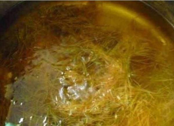 煮完玉米的水，一滴也别倒！留在家中太值钱了，很多人还不清楚