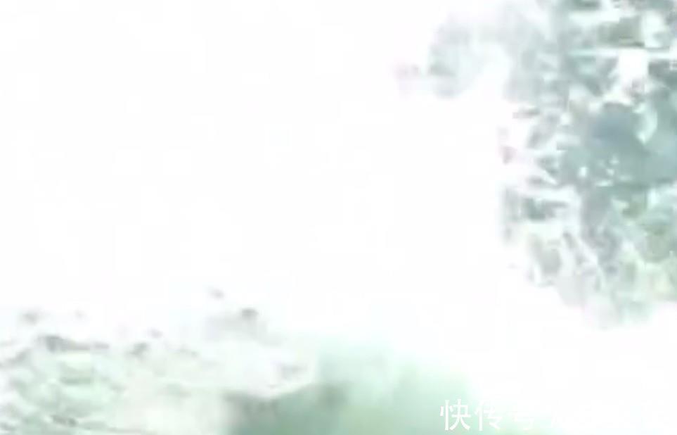 巴西队|全红婵搭档失误!307C直接炸海,水花飞起四溅,中国队的压力来了