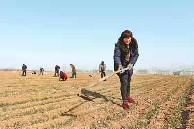 今日进三九，俗语“三九不落雪，脱袄过寒冬”，啥意思？