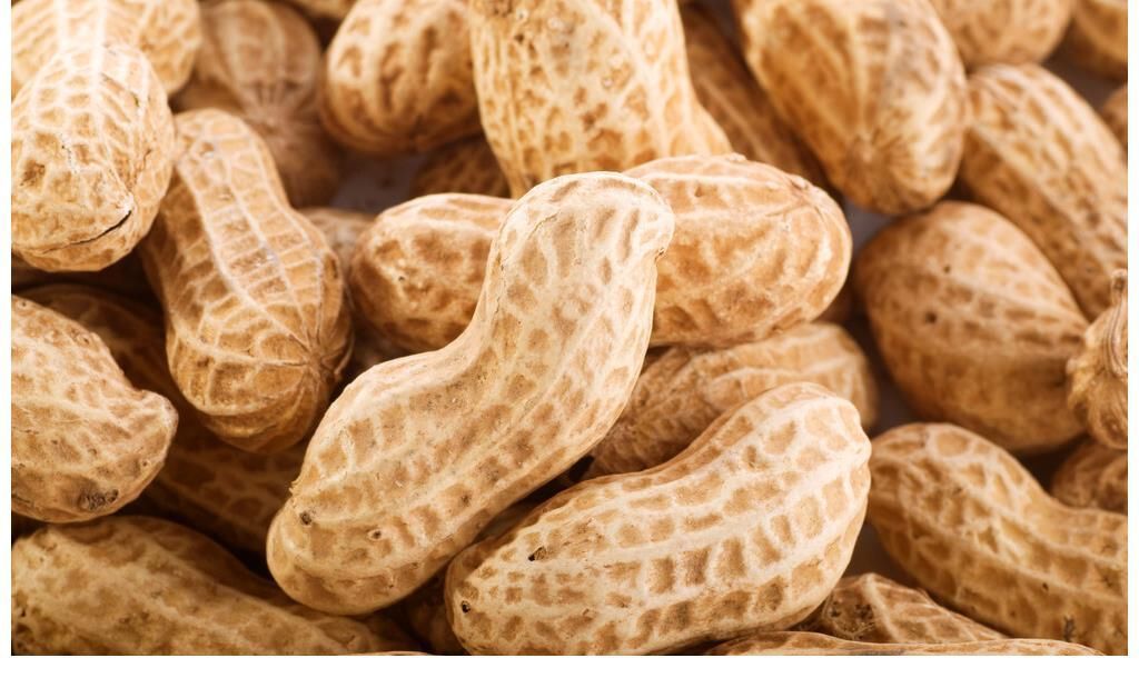 骨质疏松|骨质疏松是花生吃多了?72岁徐院士:想要骨头好,少吃2种食物