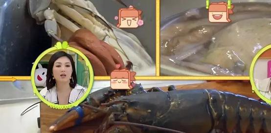 自熱米飯|宋妍霏用自熱食品招待楊迪引爭議，網(wǎng)友扒出關(guān)鍵信息打臉節(jié)目組