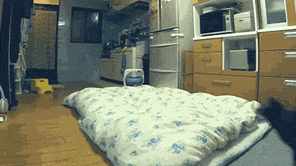 |搞笑动图:家有懒狗一只,谁要领走吧!