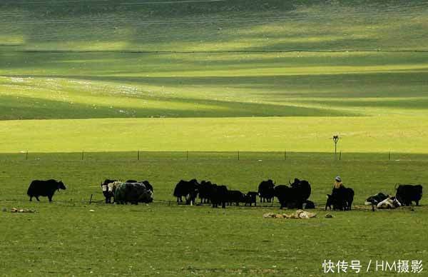 祁连山草原|中国国家地理评的“最美6大草原”，全去过令人羡慕，你去过几个