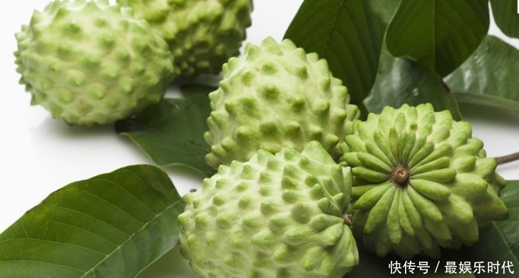 此野果是個(gè)寶,每天食幾粒,能美白排毒,延緩衰老,還能調(diào)養(yǎng)身體