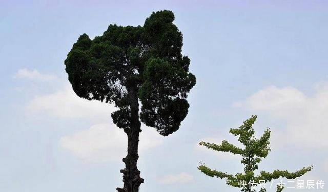 福报|不要羡慕别人有福,只要做到这七项,“福”自然来