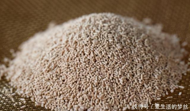 酵母粉|酵母粉别再买了,初艳教你自己在家做,4元做一大碗,放1年也不坏