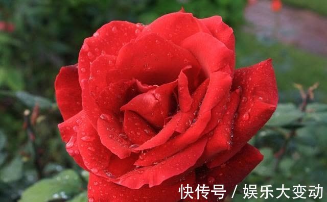 8月中旬开始，桃花“坐”家中，财运一路高升，福如东海