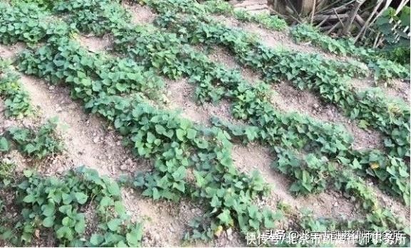 土地管理法|对征地补偿、安置方案不服怎么办？