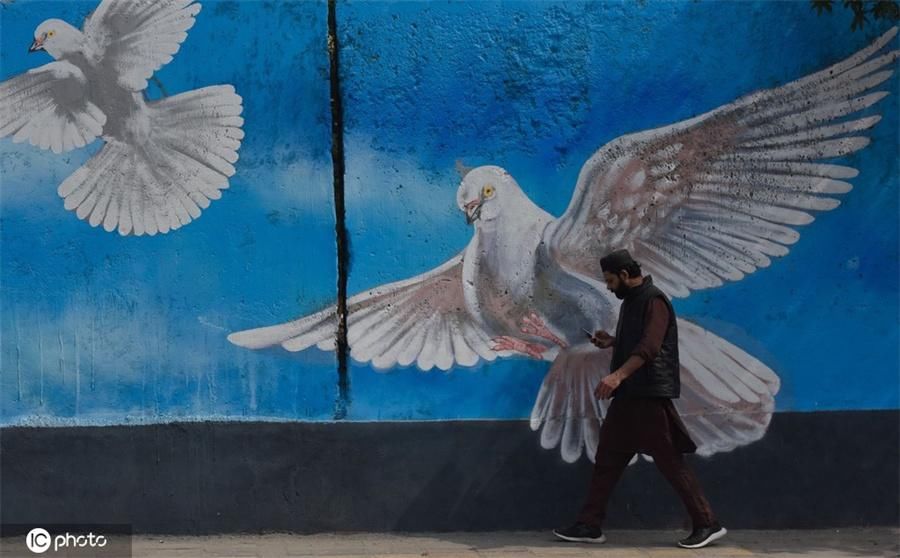 艺术|印度新德里壁画艺术丰富民众生活