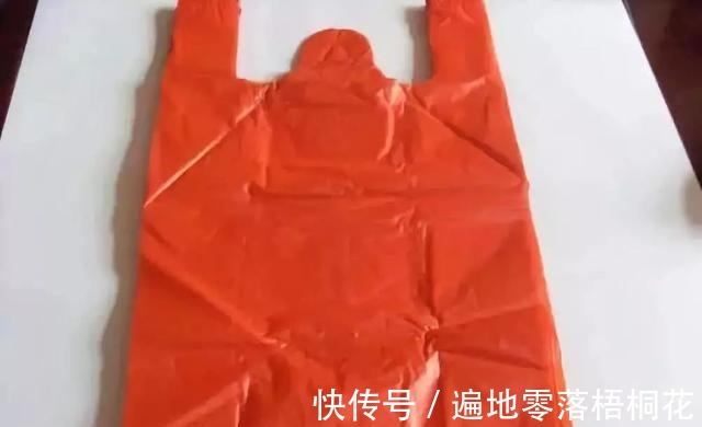 洞洞鞋 救命!这到底是什么