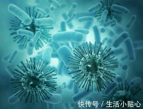 iii|细菌病毒型胃肠炎很常见,当出现时,宝宝请备好这4样“武器”