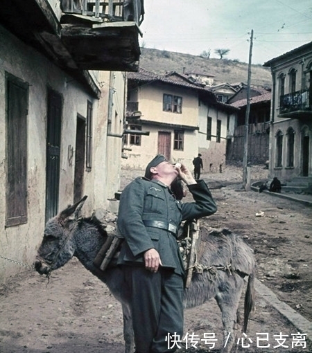 保加利亚|14张二战珍贵彩照:保加利亚农村姑娘欢迎德军兵哥哥