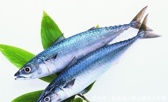 重金属|这3种鱼或是“甲醛”和“重金属”的携带者,建议尽早撤离餐桌