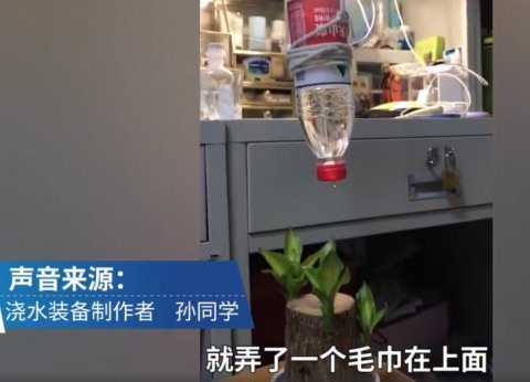 巴西木|大学生放假前自制装备给盆栽浇水,评论区炸了,网友纷纷出招