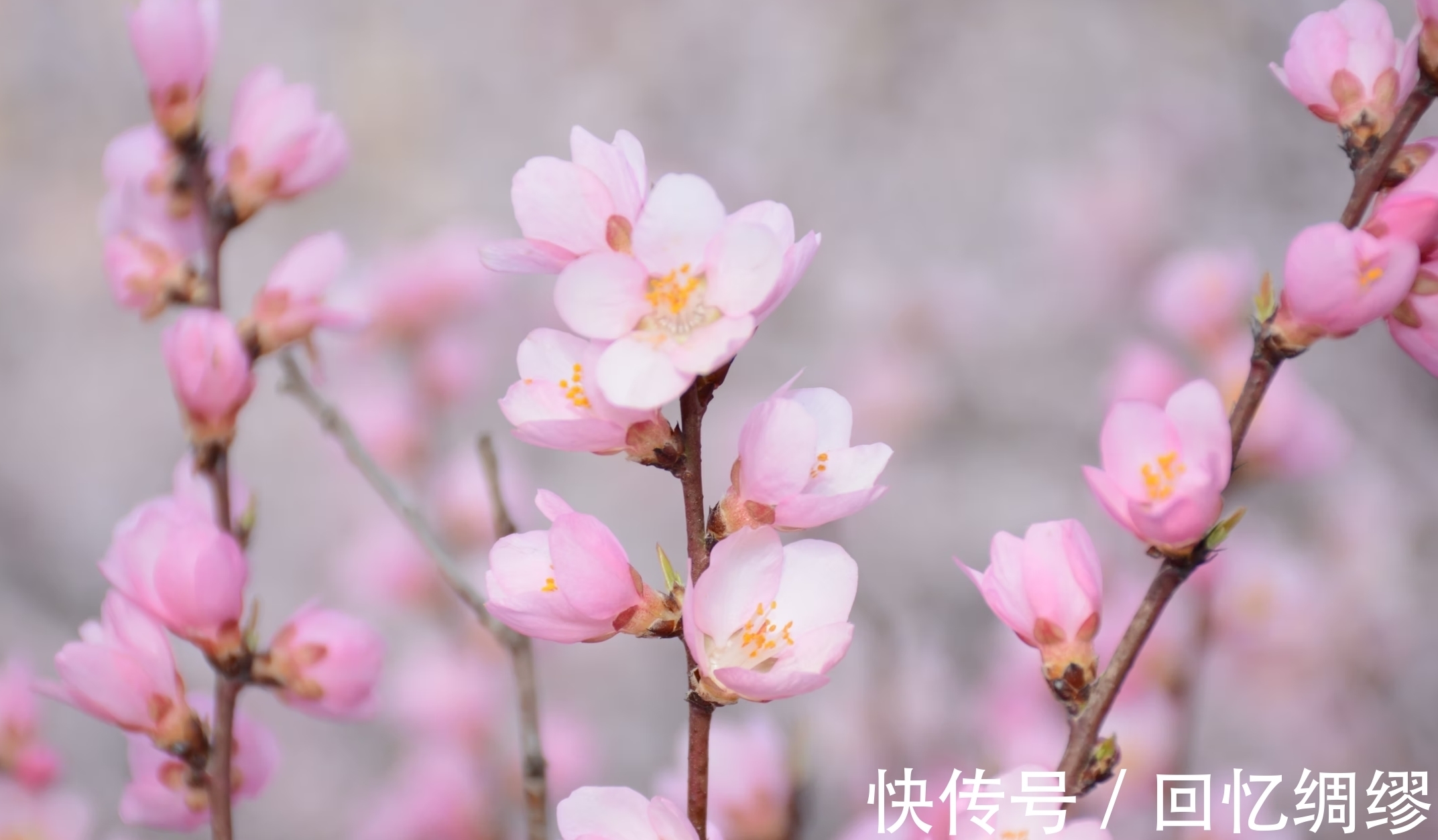 人性格|12月底，天时地利，独占鳌头，满面春光的星座，存款一天天飙升