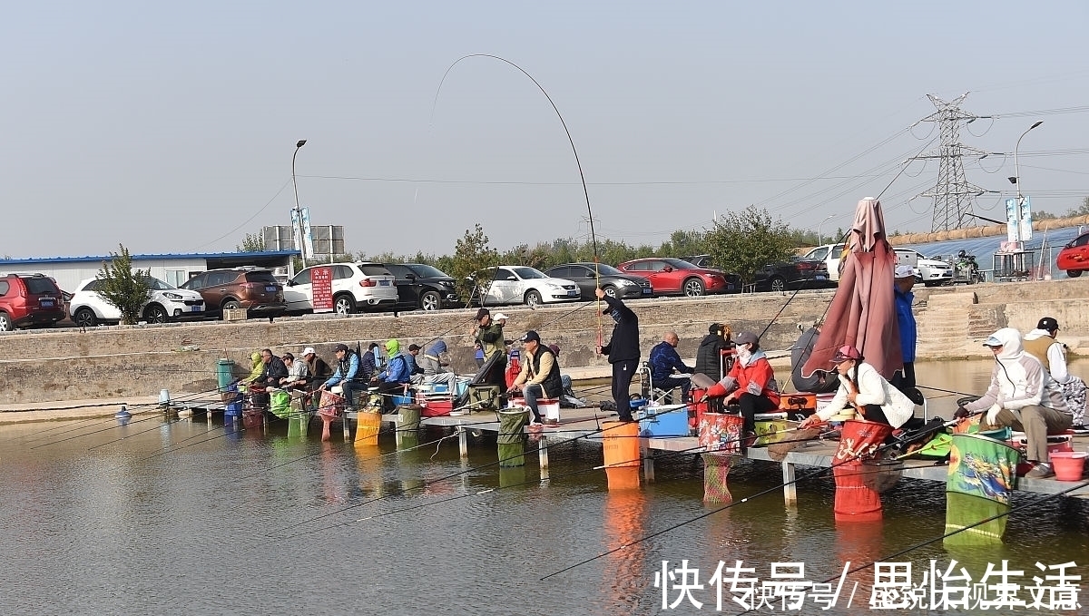 黑坑|没有不变的黄金钓位,只有善于发现的钓鱼人
